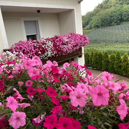 Hotel Garni San Paolo à Appiano Sulla Strada Del Vino Extérieur photo