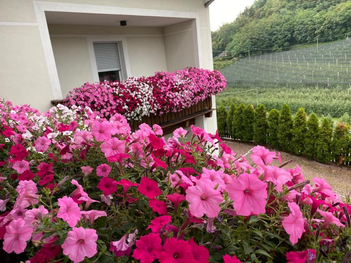 Hotel Garni San Paolo à Appiano Sulla Strada Del Vino Extérieur photo