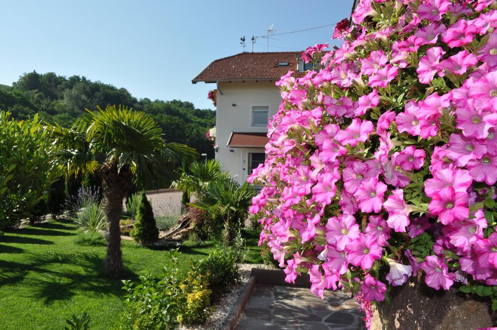 Hotel Garni San Paolo à Appiano Sulla Strada Del Vino Extérieur photo