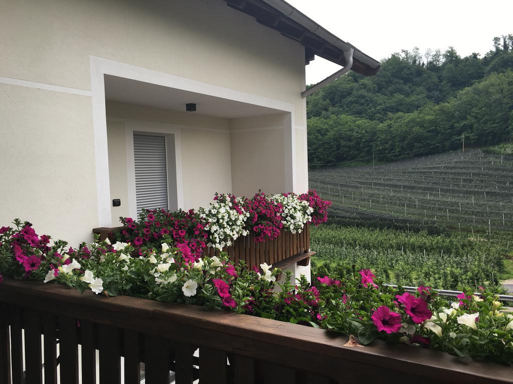 Hotel Garni San Paolo à Appiano Sulla Strada Del Vino Extérieur photo
