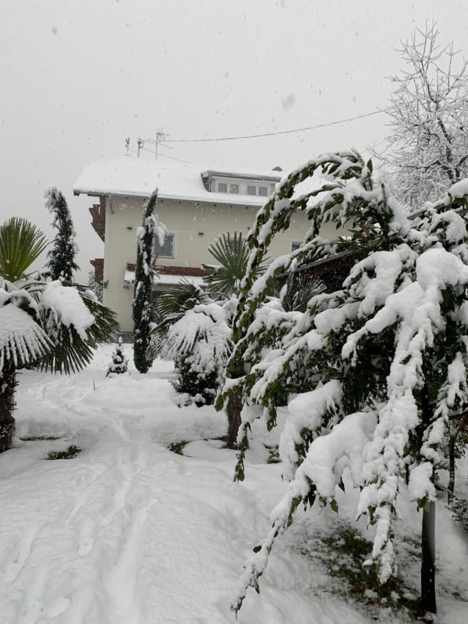 Hotel Garni San Paolo à Appiano Sulla Strada Del Vino Extérieur photo