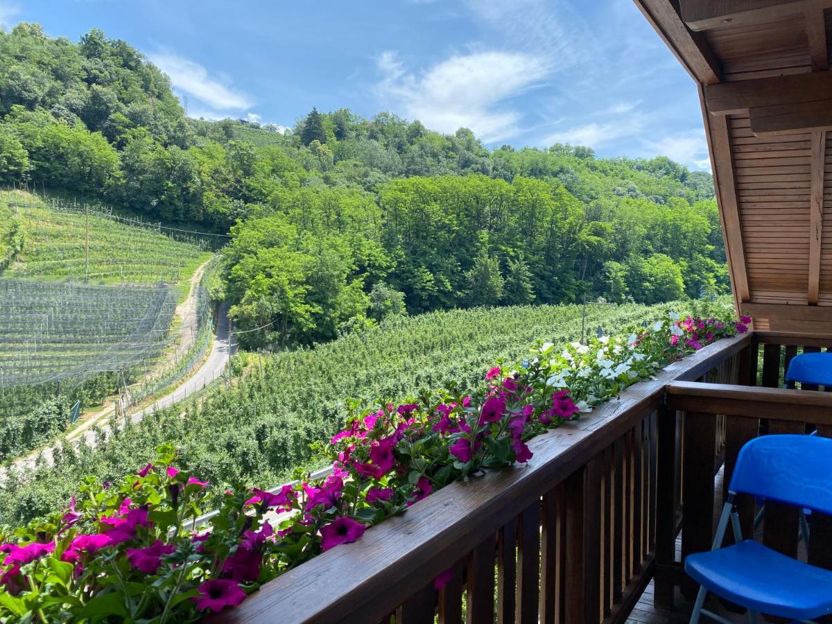 Hotel Garni San Paolo à Appiano Sulla Strada Del Vino Extérieur photo